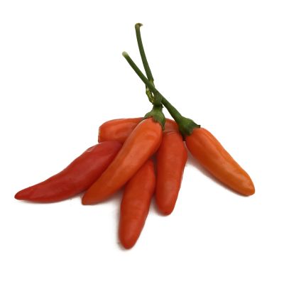 Tabasco