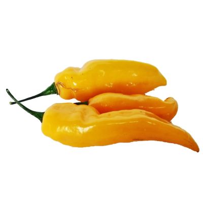 Fatalii