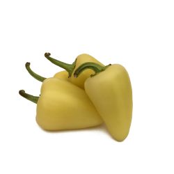 Guero Chile