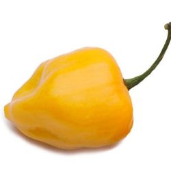 Habanero Yellow